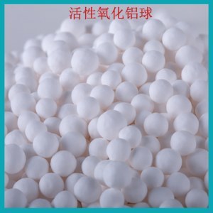 公司介绍