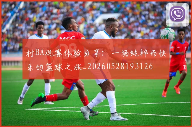 村BA观赛体验分享：一场纯粹而快乐的篮球之旅_20260528193126